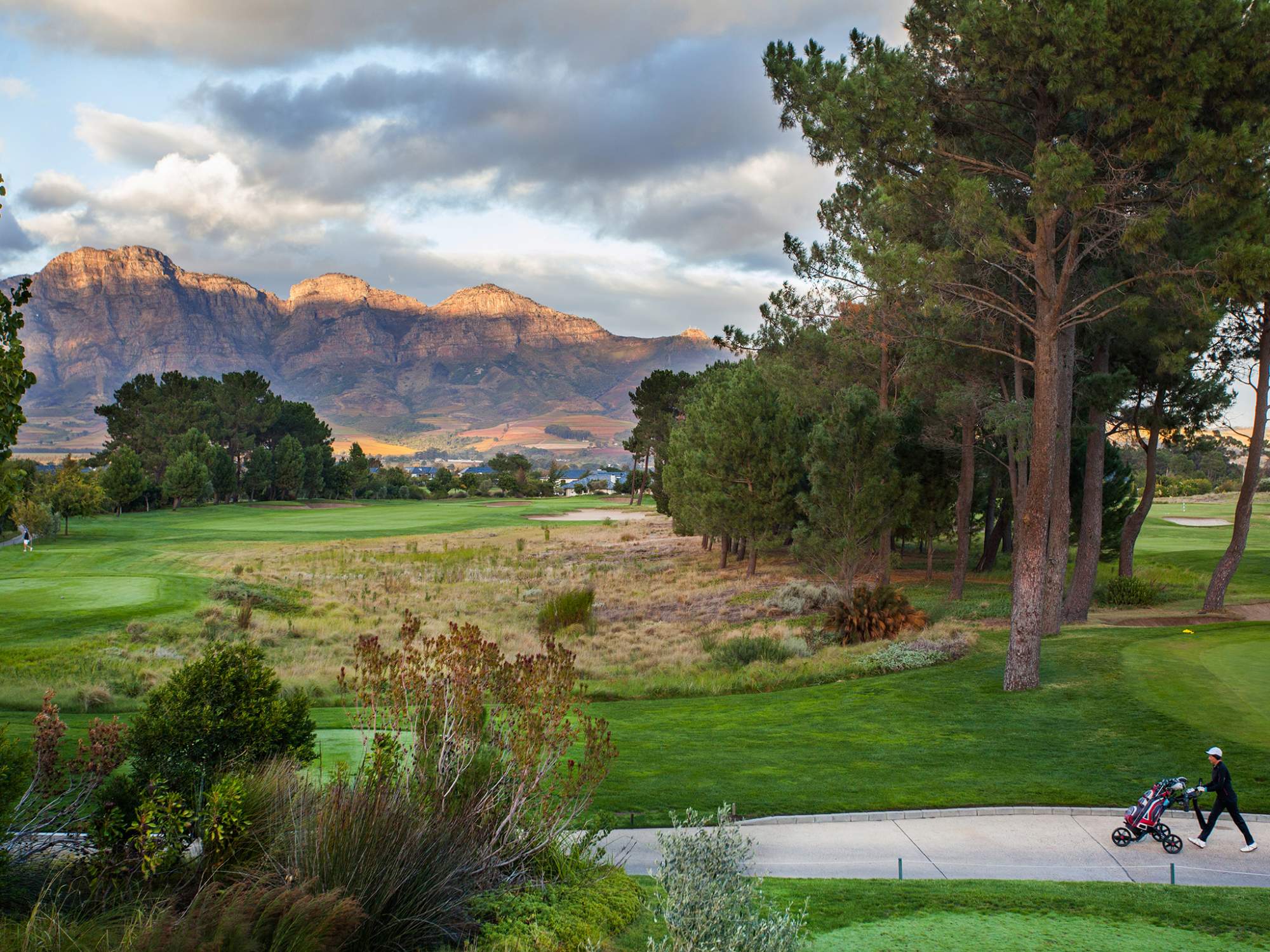 Golfers at Pearl Valley